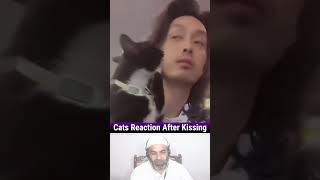 Best Kiss Your Cat Reaction 😍 #cats #shorts #cute #cat #funnycatvideo