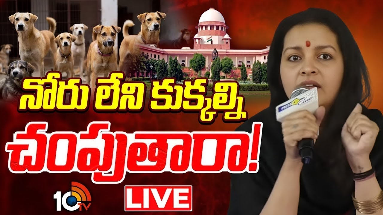 Renu Desai LIVE : Supreme Court | రేణు దేశాయ్ ప్రెస్ మీట్ | 10TV Entertainment