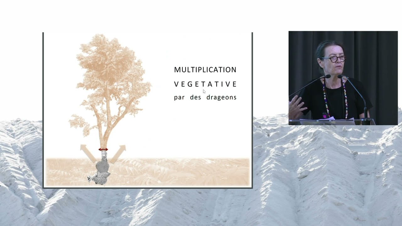 Les plantes invasives vont-elles sauver nos villes ? Avec Véronique Mure