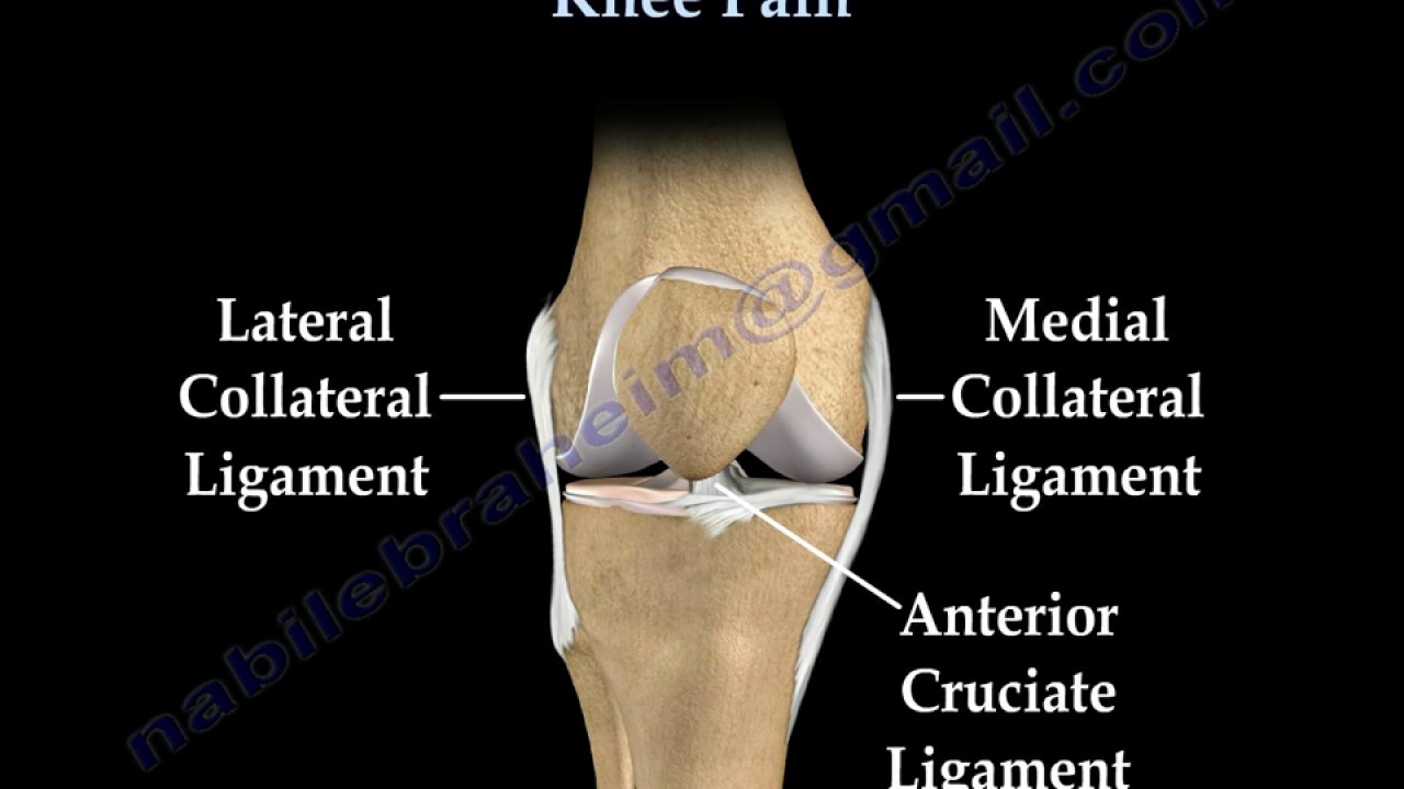 Knee Pain diagnosis and treatment - Everything You Need To Know - Dr