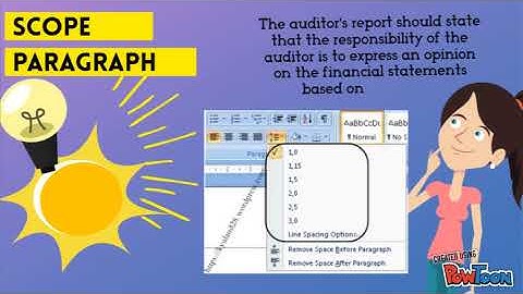 AUDIT BASIC ELEMENT OF AUDITOR REPORT