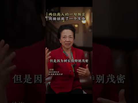 徐梅生命智慧讲堂 两位高人的一句预言，间接拯救了一个生命！#人生感悟#人生智慧#徐梅#治愈#认知