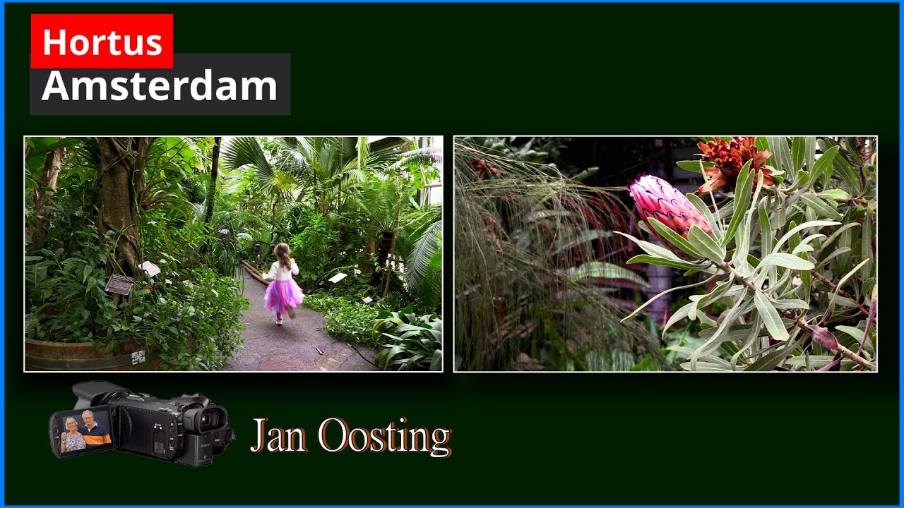 Hortus Amsterdam