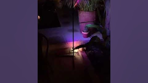 Luz Lampara Pie Esquinero Pixel Led Rgb Deco Control Remoto App Wifi Moderna Gaming Audiorritmico