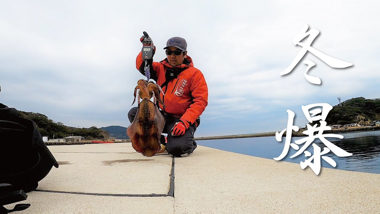 2月のデイエギングでまさかの大イカが釣れました。