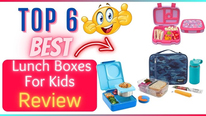 The 9 Best Bento Boxes of 2024, Tested & Reviewed