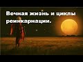 Вечная жизнь и циклы реинкарнации.