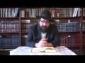 1פרשת השבוע עם הרב מיכאל טייב פרשת נח. צילום שניאור שיף
