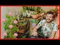 REPLANTANDO TODAS as minhas FLORES - Eduardo Wizard