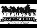 North American Six Horse Hitch Classic Series Finals 2016