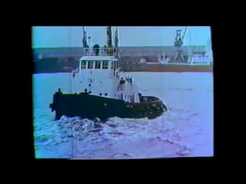 Trecho do Documentário TRANSTEL Exibido Pela a Tv Educativa Tv Cultura e Tv Guaiba/RS Anos 80 e 90 camera iphone 8 plus apk