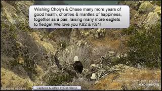 Cholyn \& Chase - An Everlasting Love Story 19+ Years Together Two Harbors Bald Eagles - Aug 3, 2022