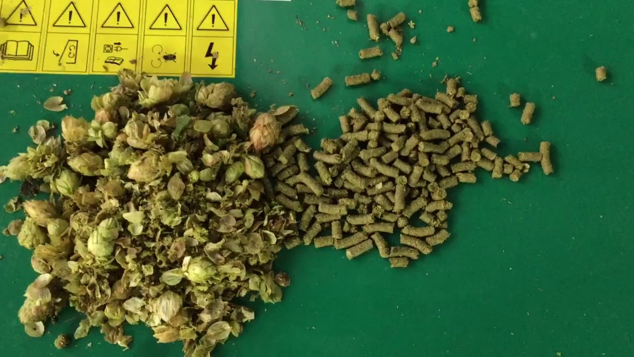 Variety Pak De Granulés De Houblon – Motueka, Perle – Brassage Maison