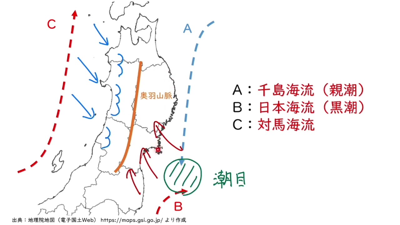 東北地方 (日本の地質2) 中部地方 日本地方地質誌 （CD-ROM付）｜