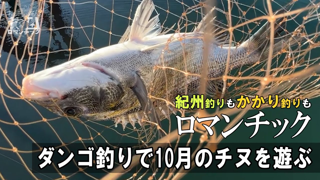チヌ釣り【ウキ派？穂先派？】どっちも遊べる秋のダンゴ釣り！ep.083