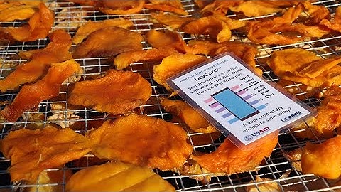 2018 Innovator of the Year — DryCard™