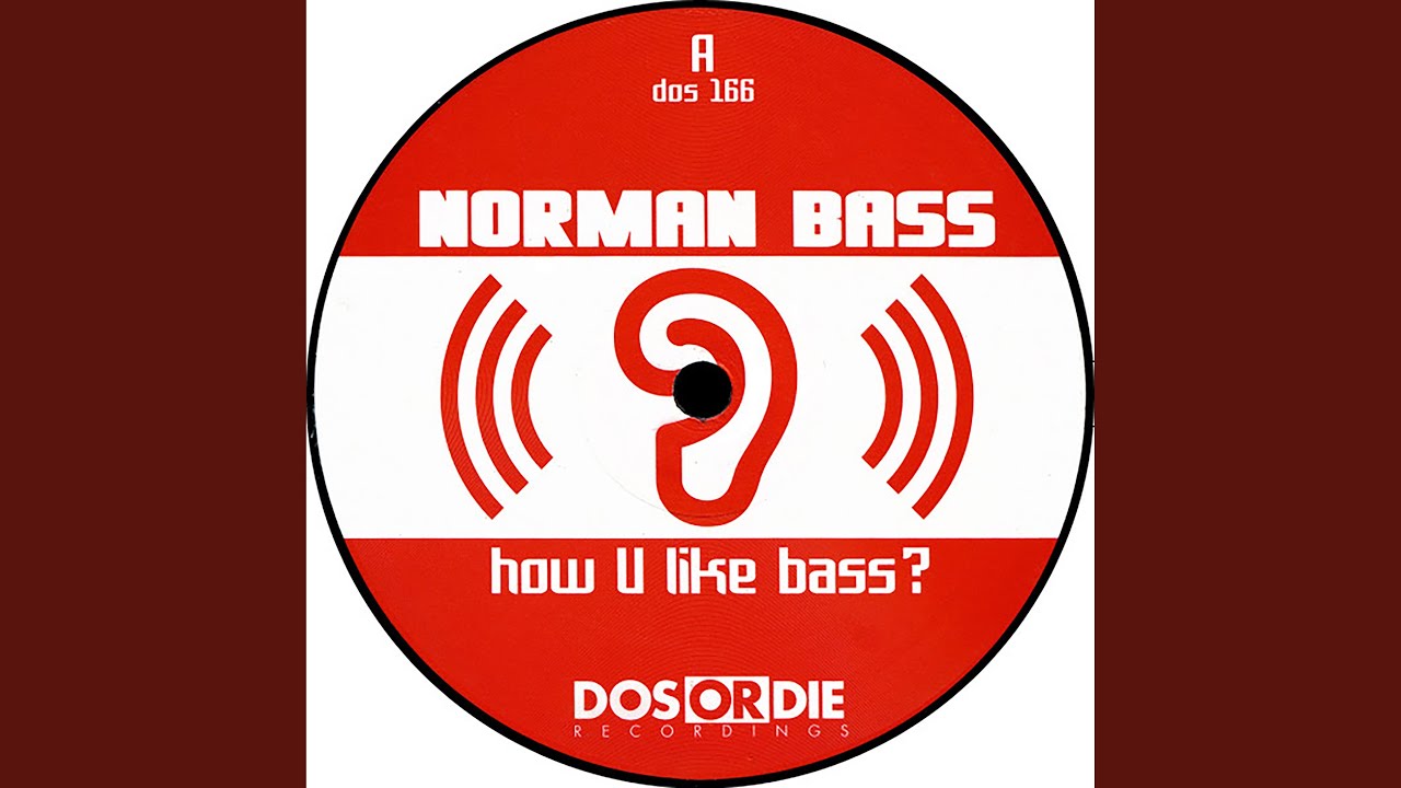 How U Like Bass?