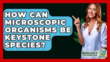 How Can Microscopic Organisms Be Keystone Species? - Biology For Everyone
