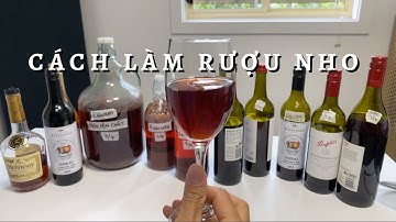 Cách Làm Rượu Nho, Grape Wine Toan Trinh