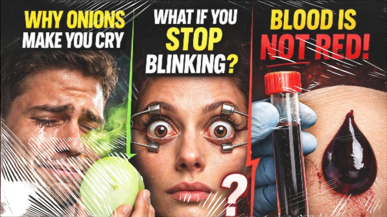 Why Onions Make You Cry & Other Weird Things Your Body Does