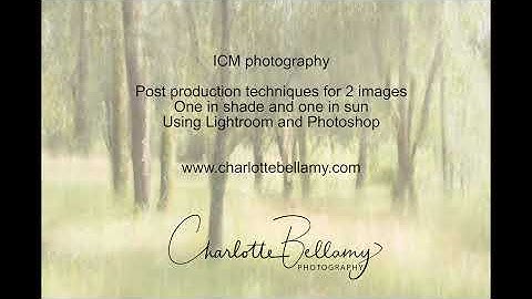 French woodland series - 2. ICM editing 2 images in Lightroom and PS - sunny and a cloudy images.