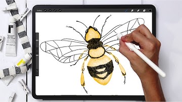 Digital Watercolor! Paint a Honey Bee in Procreate