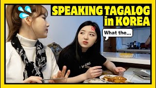 WHAT HAPPENS WHEN I ONLY SPEAK TAGALOG TO KOREANS + REACTION TO ENSALADANG TALONG // DASURI CHOI
