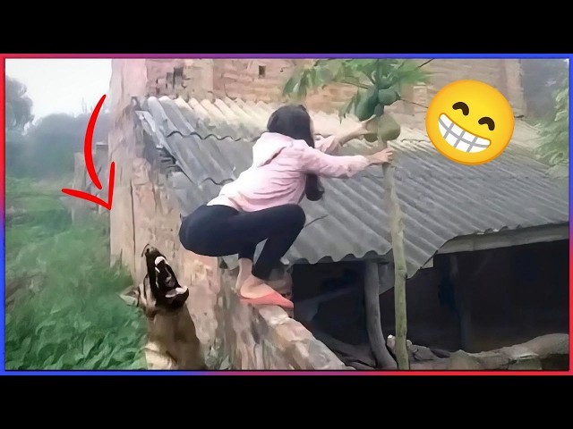 Best Funny Videos Of 2025 😂😁 TRY NOT TO LAUGH Funny Videos