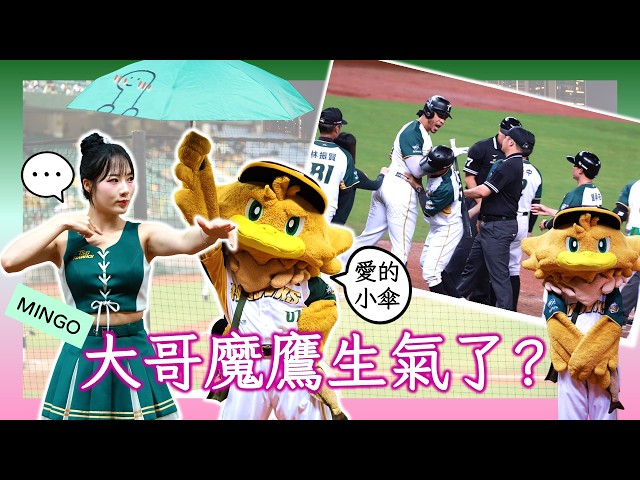 【台鋼雄鷹】大哥生氣了！大局嗆司連發突發魔鷹被驅逐？[Mingo]×雞柳條爆笑互動！《天降神兵》《敢衝敢拼》12分鐘夜晚全紀錄