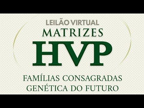 Lote 07   Impecavel HVP   HVP 3994