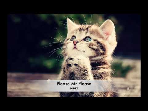 Please Mr Please
