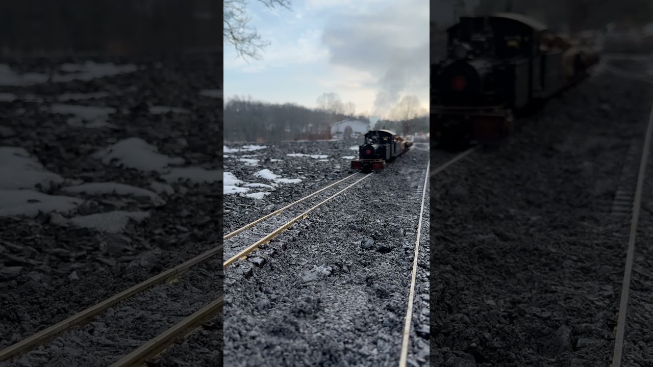 Alcohol Fired Live Steam 0-6-0 in the backyard. 