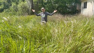 Clearing 3 YEARS of OVERGROWN LAWN for Neighborhood - SATISFYING Transformation