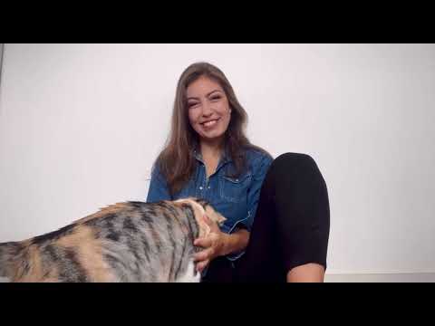 Vídeo de apresentação- Vanessa Strelow