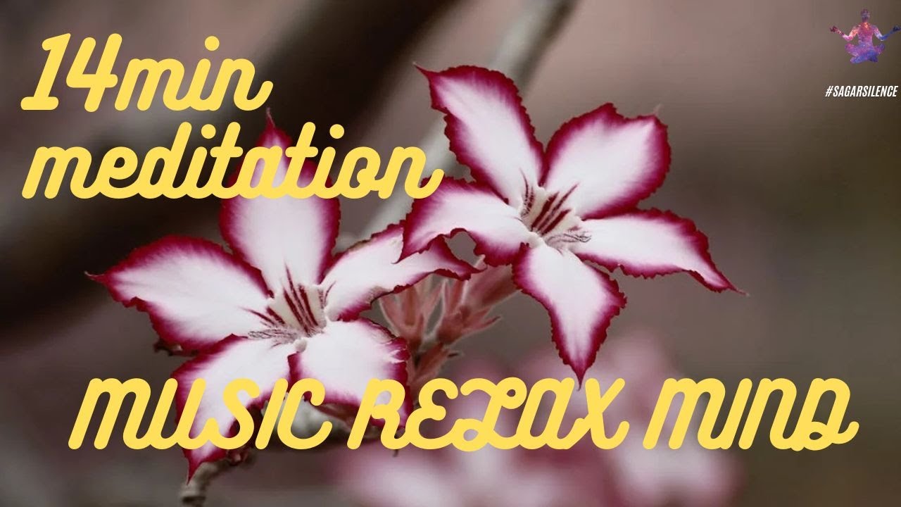 14 min meditation music relax mind body positive energy sleeping music ...