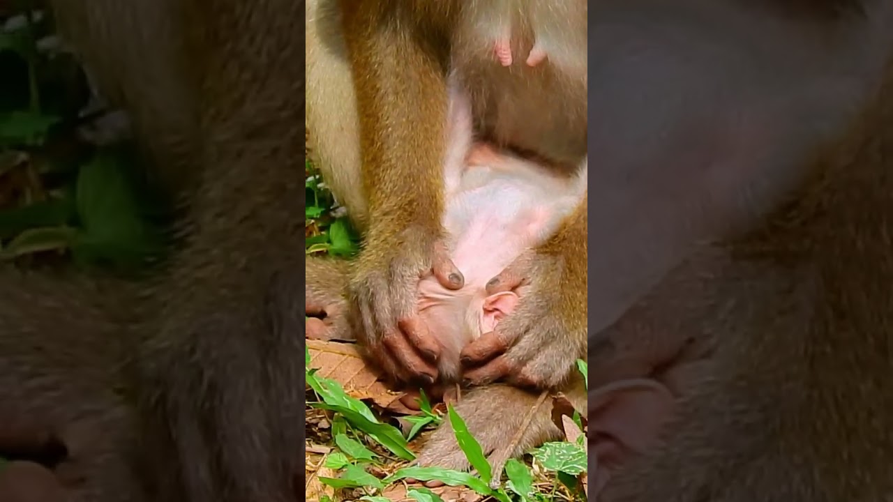 it's so bad mom Libby 