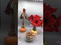 Blooming Amaryllis Time Lapse