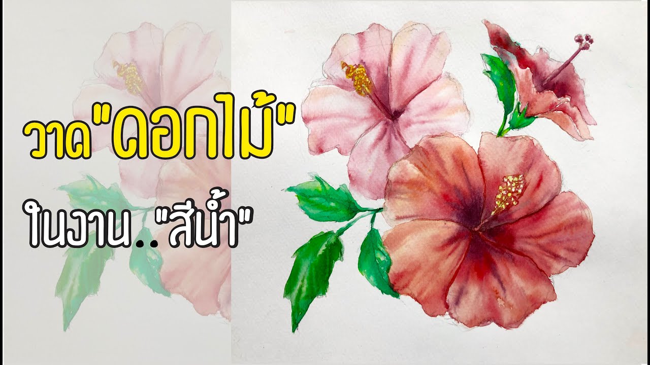 วาดดอกไม้ เทคนิคสีน้ำพื้นฐาน