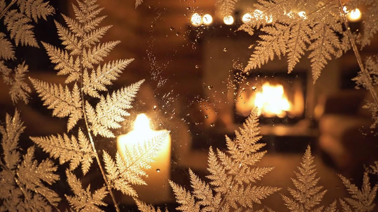 Treehouse Jazz Piano Escape in Forest Morning 🌳 Whimsical Peaceful Music for Creative Thinking