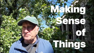MAKING SENSE OF THINGS - MILD POLITICAL VENTING @davidatkinson-Music-and-More