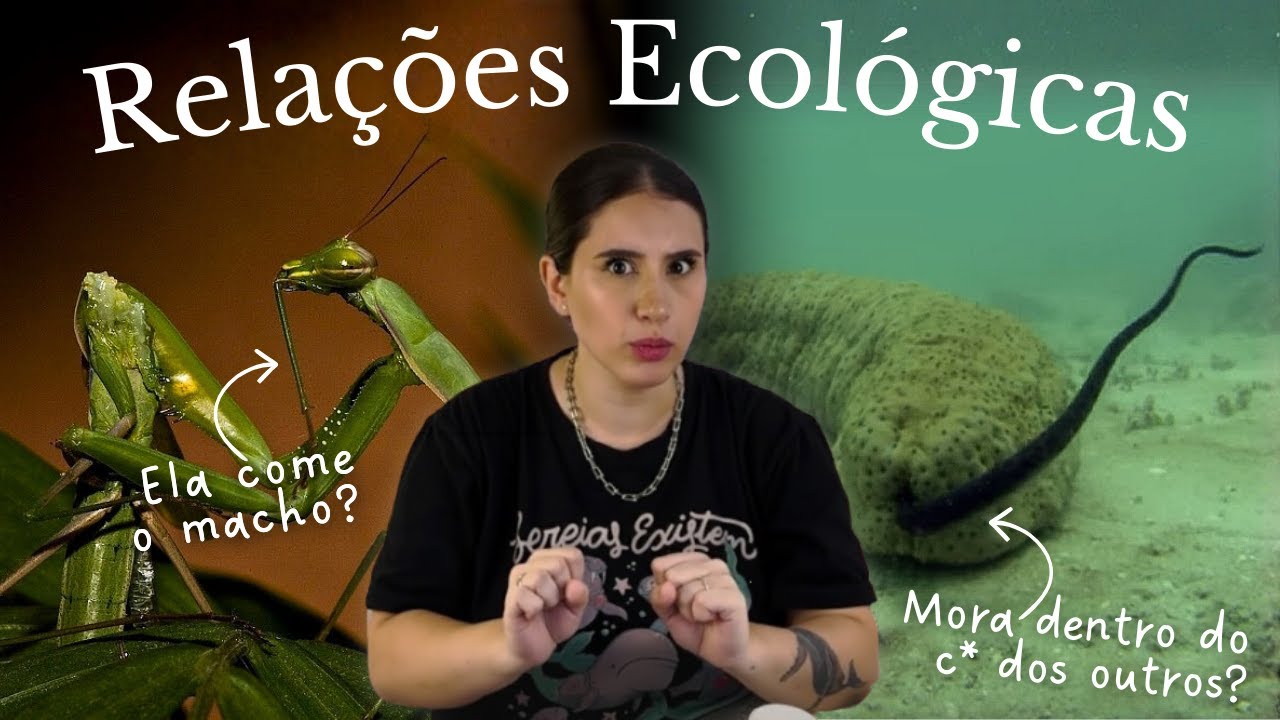 RELAÇÕES ECOLÓGICAS: Como os Organismos Interagem na Natureza | VídeoAula 1