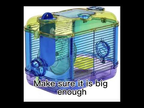 The WORST Hamster