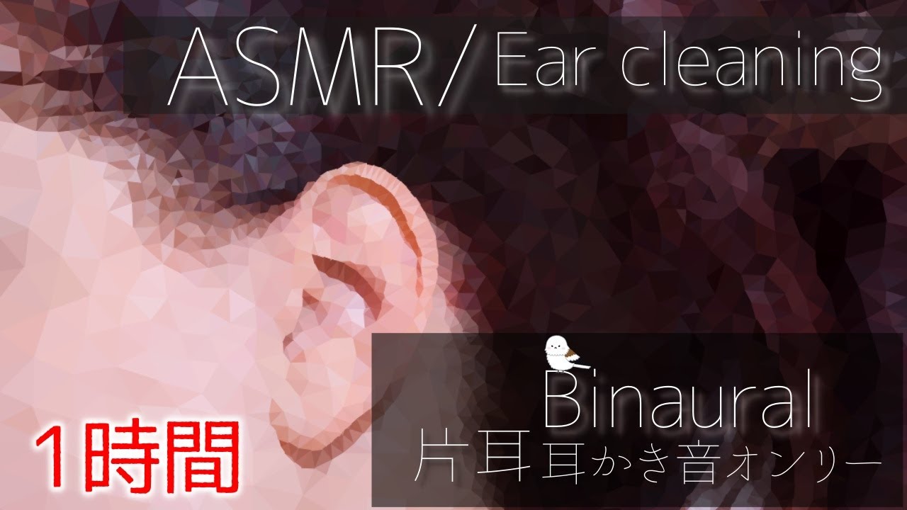 【ASMR/Ear Cleaning/Binaural】鼓膜にマイクを付けて耳かきロング版【片耳版/耳かき/イヤホン必須】