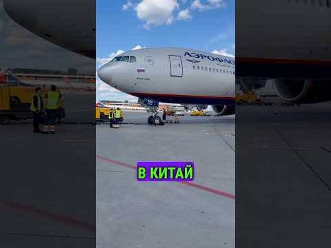 Летим в Китай за лучшей ценной на кроссовки 🇨🇳 #китай #кроссовки