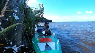 Download Lagu Cuaca extrime, kami diterjang ombak besar saat sedang asik memancing ikan di sungai besar MP3 Download Lagu Cuaca extrime, kami diterjang ombak besar saat sedang asik memancing ikan di sungai besar MP3
