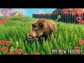 Valheim The Birth of Chili Wili with Joe and Friends
