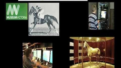 X-ray Fluorescence Microscopy Beamline at the Australian Synchrotron (2010)