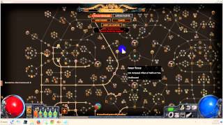 Ultimate guide to Path of Exile s Passive Skill Tree - perfect optimization methods