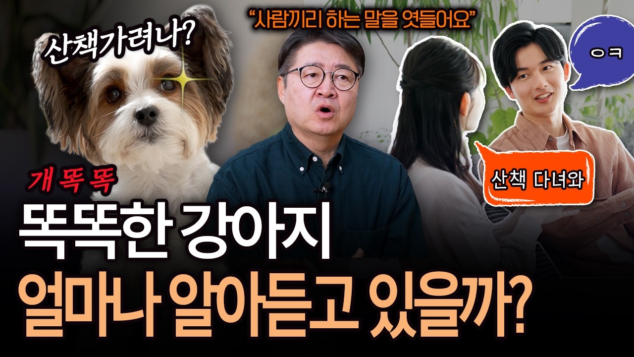 ‘서당개 삼 년’은 과학적으로 맞는 말일까? 엿듣는 개의 놀라운 언어 학습 능력