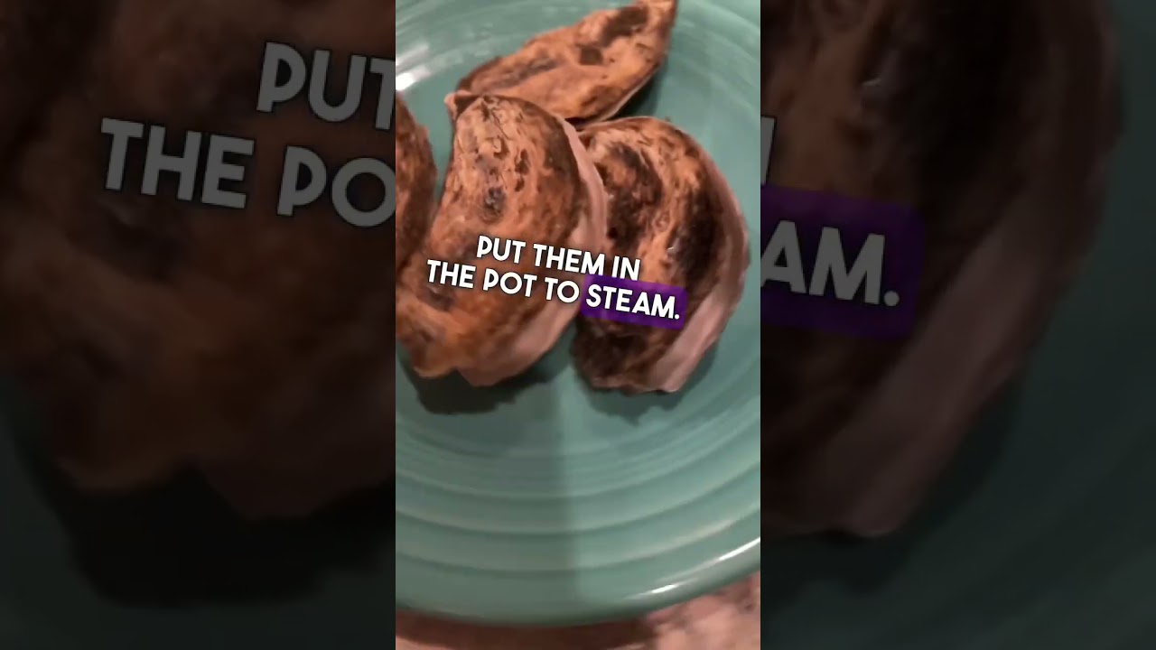 How I Steam Oysters 
